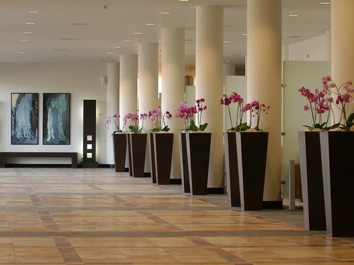 Hall Tanatorio Albia Las Palmas